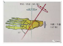 下肢力线测量方法最全汇总,赶紧收藏备用!