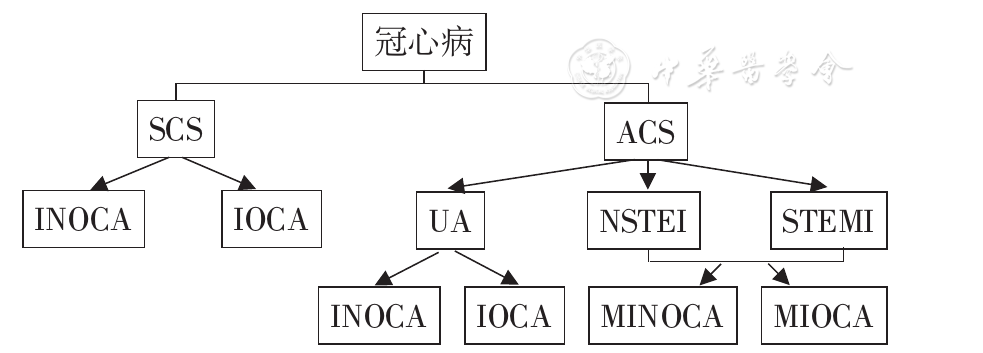 【总编随笔】冠心病分型的新思考