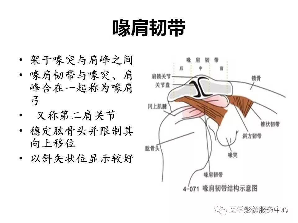 肩关节韧带及损伤的mr表现,都在这里了!