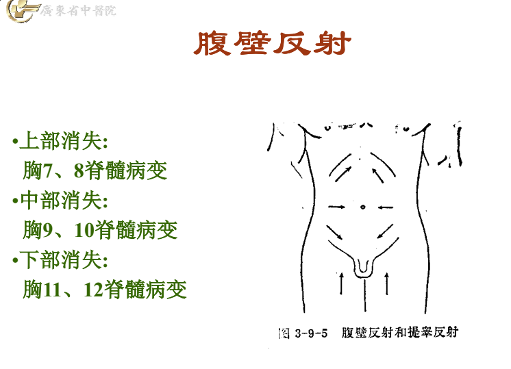 骨科体格检查的内容及要点
