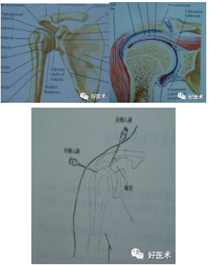 仰卧位,全身肌肉放松 关节:伸直位或微屈 进针点:髌周或膝眼处 肩关节