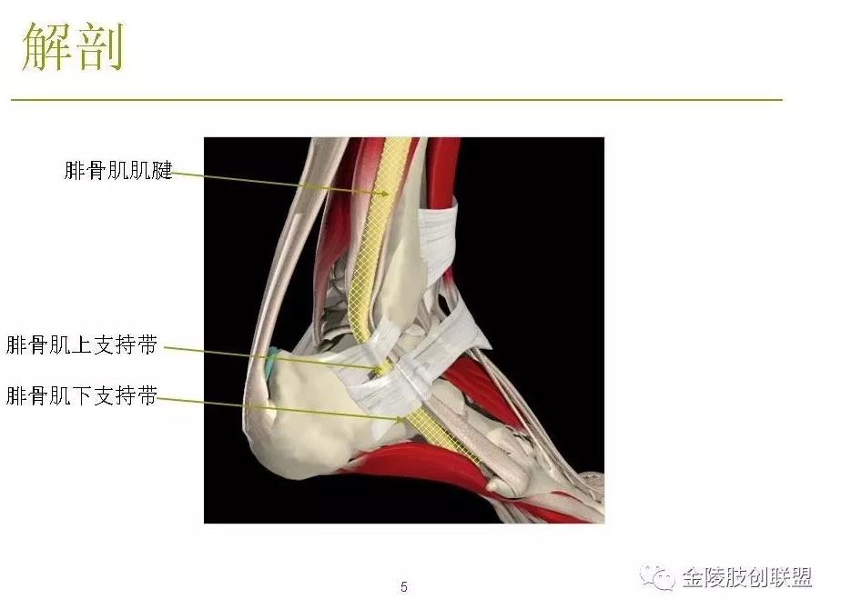 文章详情