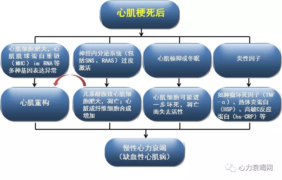 心肌梗死後心力衰竭的防治策略