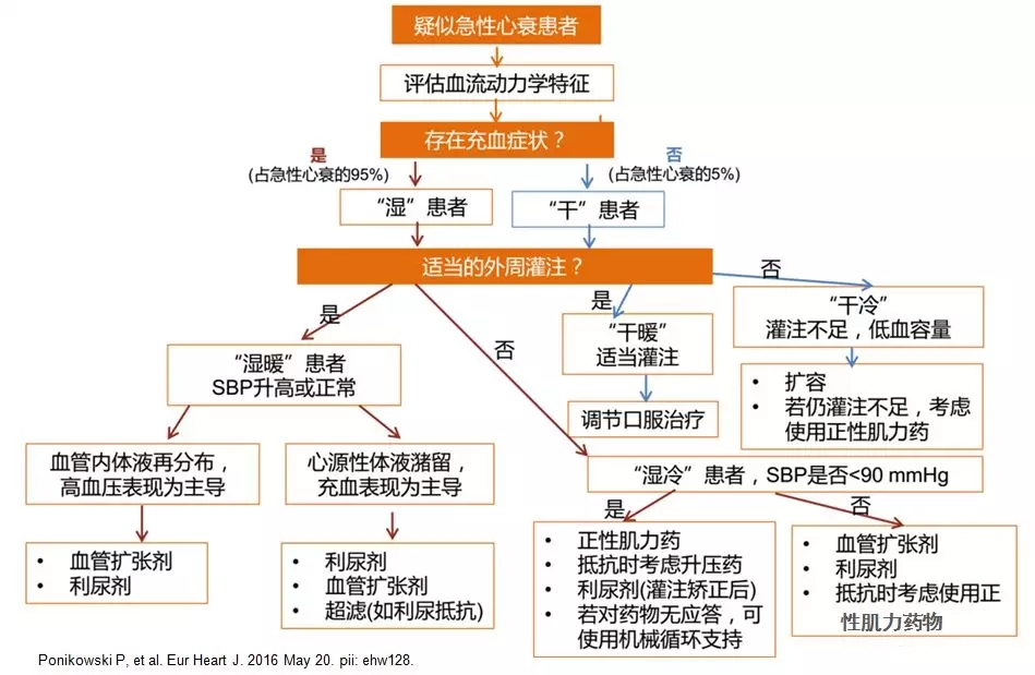 2016年esc——急性心衰处理流程